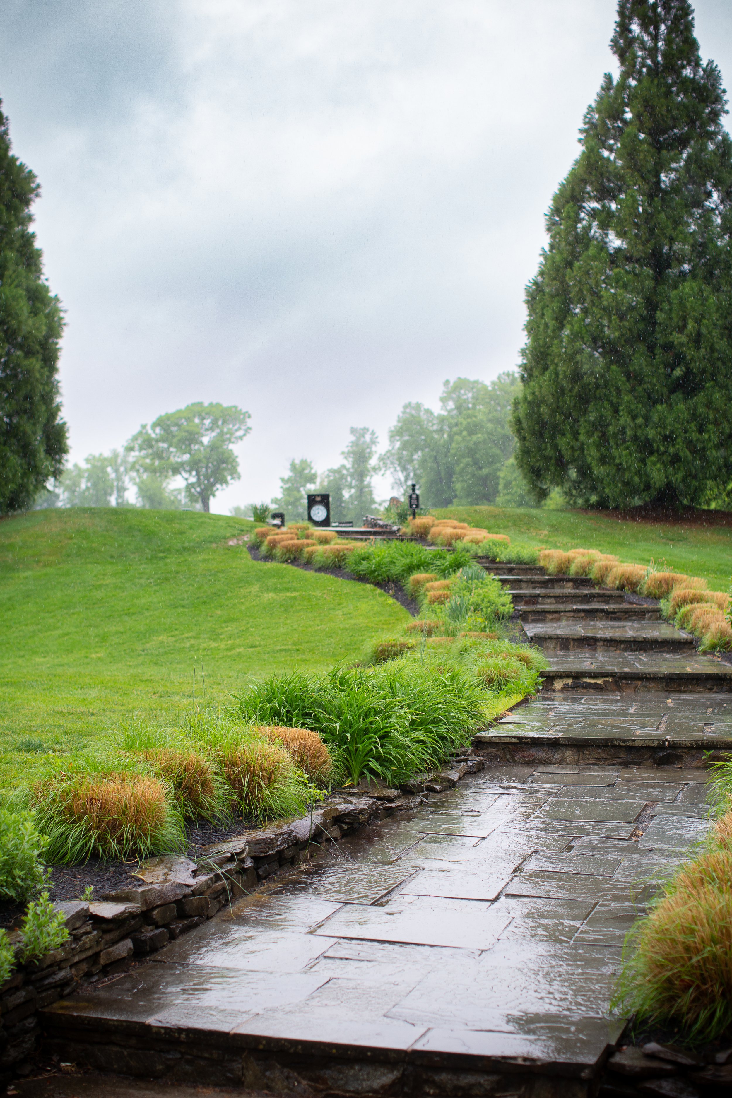 Golf Grounds  - Rain WG9A2795.jpg