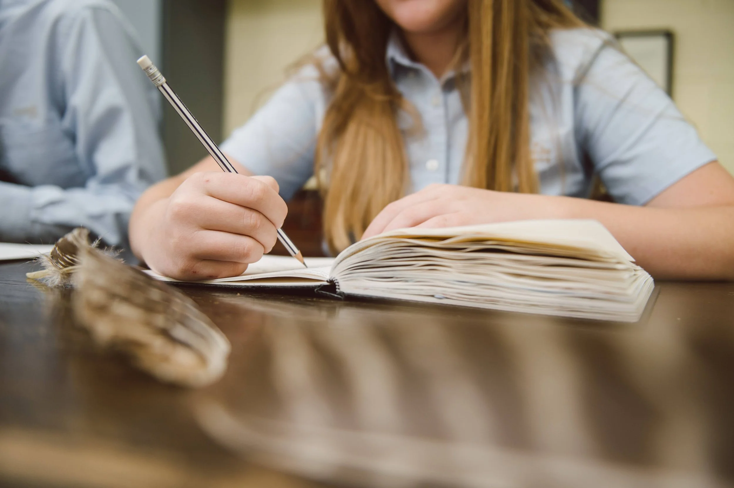 Joyful Occupations for a Cold Winter's Day