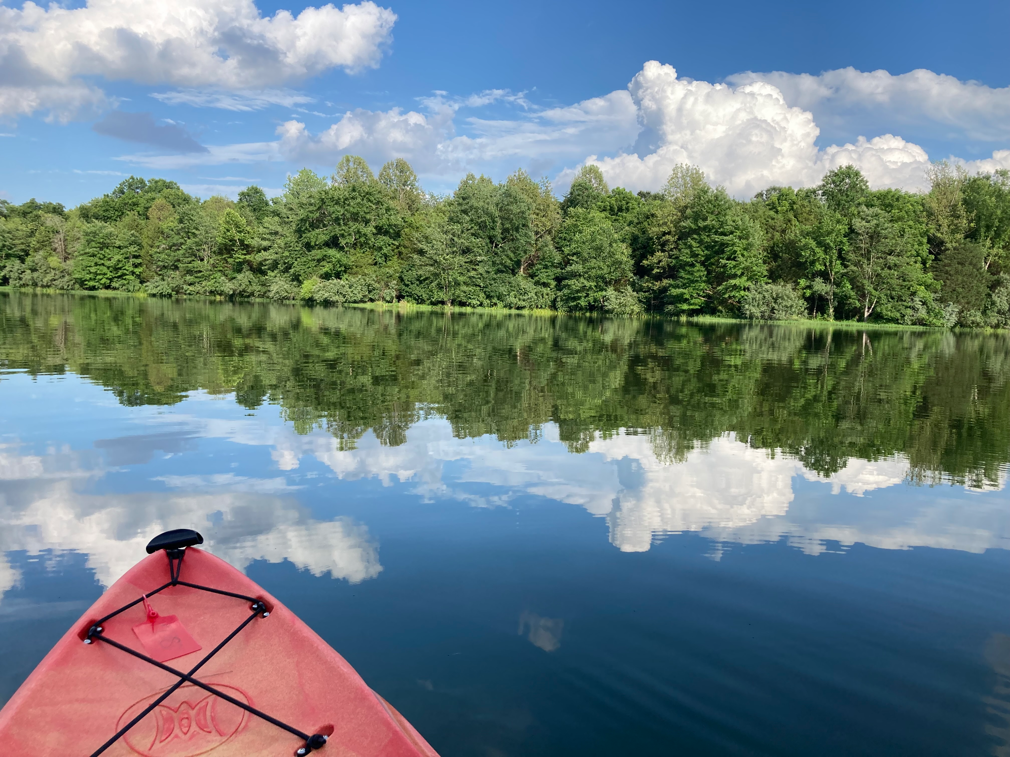 Come Away and Rest: A Summer Reflection