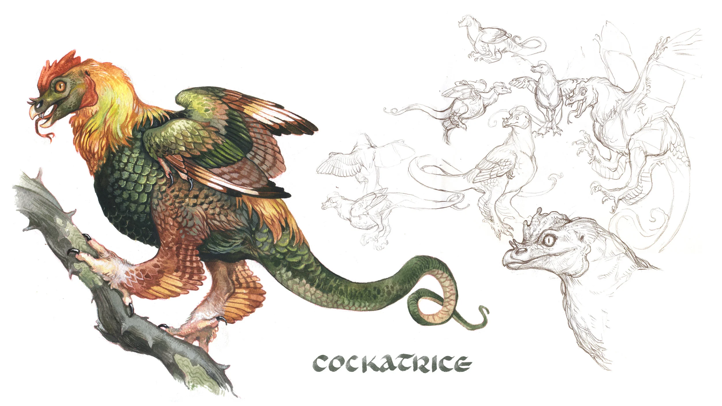 02cockatrice.jpg