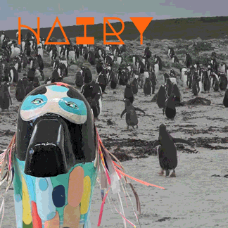 HairyPenguin.gif
