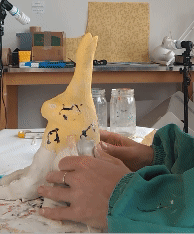 PXL_20230718_162839757~3 (1).gif