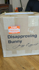 Sequence_01_AdobeExpress.gif