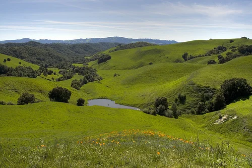 briones.jpg