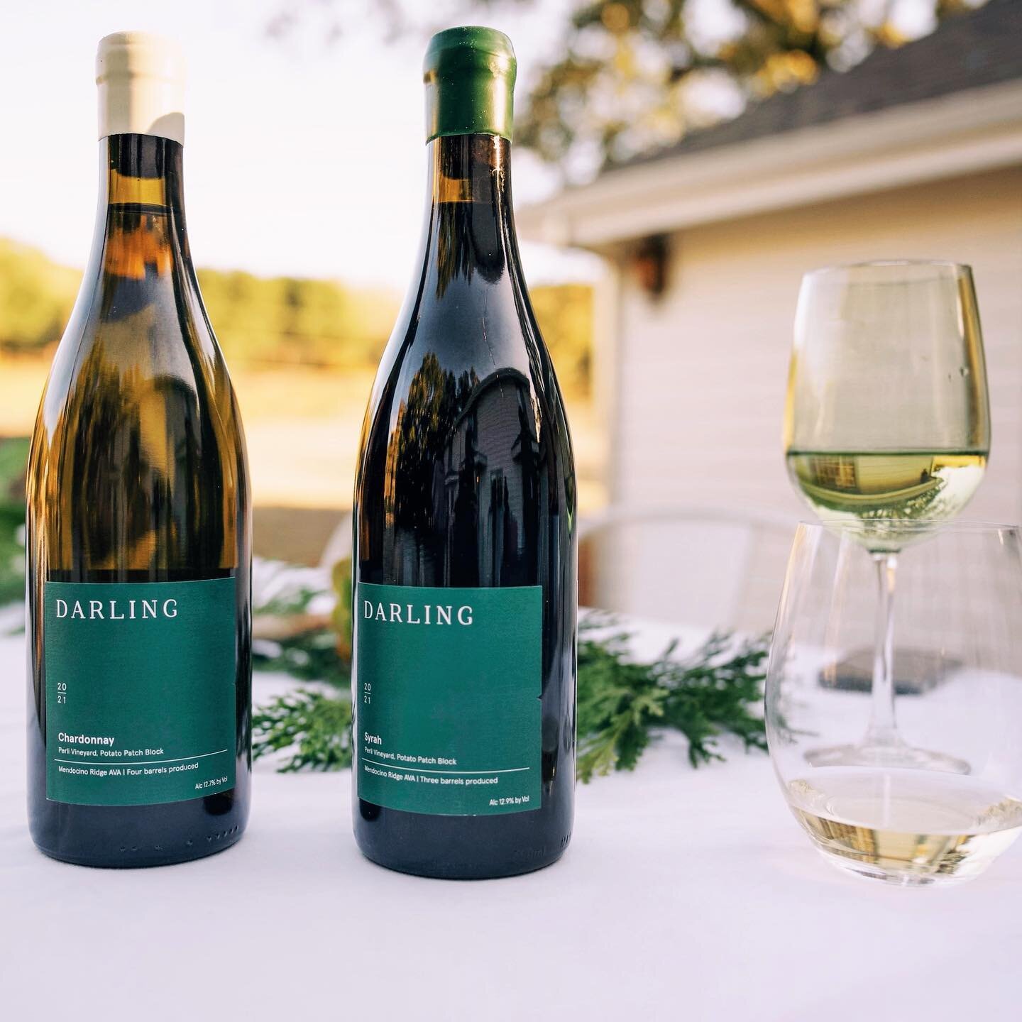 For the White Elephant 🎁 cross it off your list!

With high-toned aromatics, fresh flavors, and persistent texture, these Pinot Noirs &amp; Chardonnays will be the sought after item at a gift exchange. 📸 by @lexpoolephotography