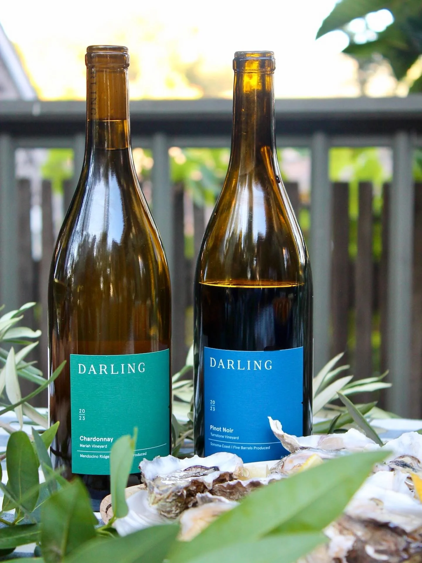 2025 Fall Release Now Open 🍁
 
We are very excited to introduce our newest wines from the 2023 vintage: Pinot Noir and Chardonnay from family-owned, lovingly farmed, low-yielding and organic, coastal vineyards. 
 
The Turnstone Pinot Noir shows off 