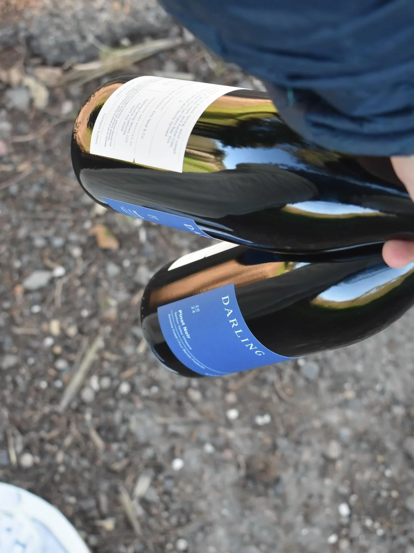 Happy New Year indeed: 2026 Winter Release is just around the corner! Club Members, you already got the details. 

Two very special wines coming later this month: something old and something new 💥 Both guaranteed to bring a lot of joy, connection, a