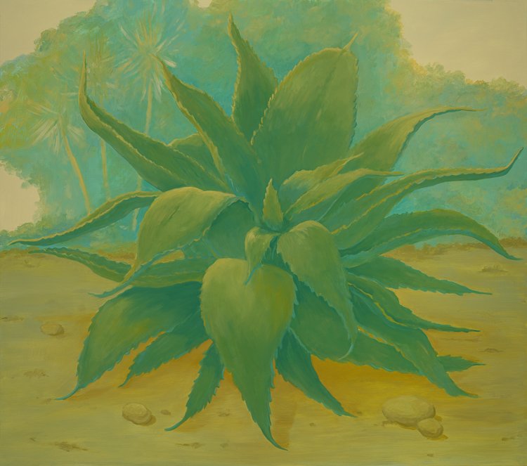Agave Oil on Canvas 34 x 32 inches 2022