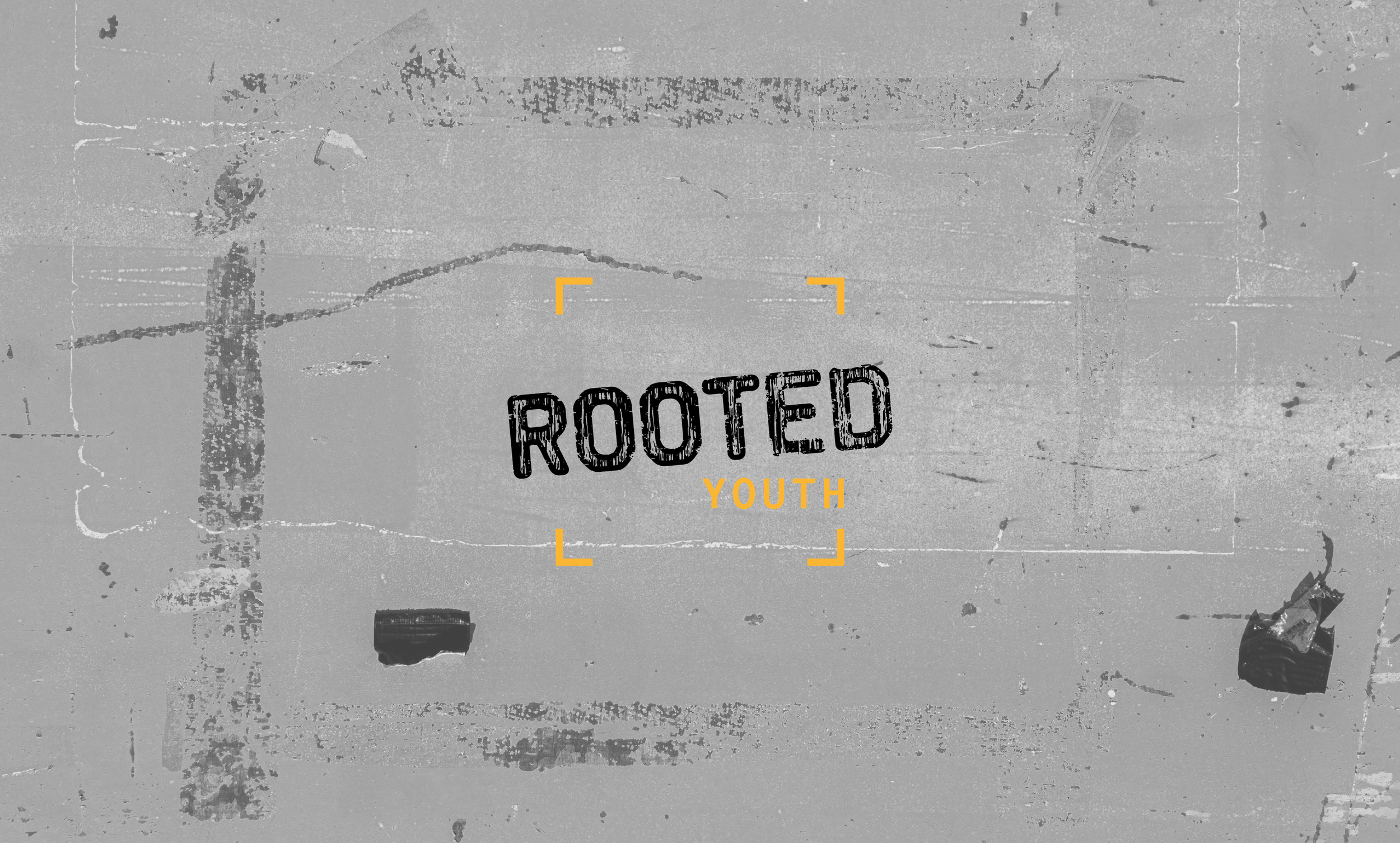 Rooted banner for What's On page v3 lighter.png