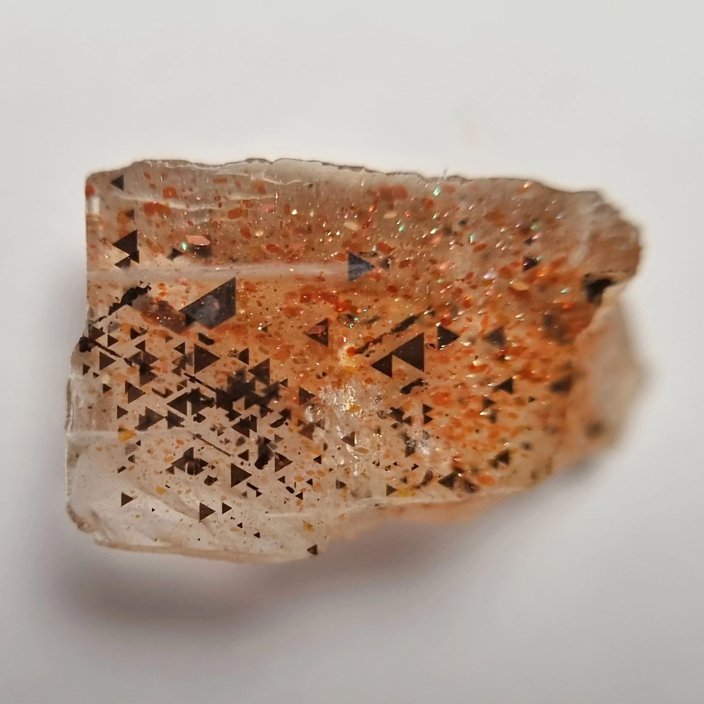 SP237b-dt.jpg