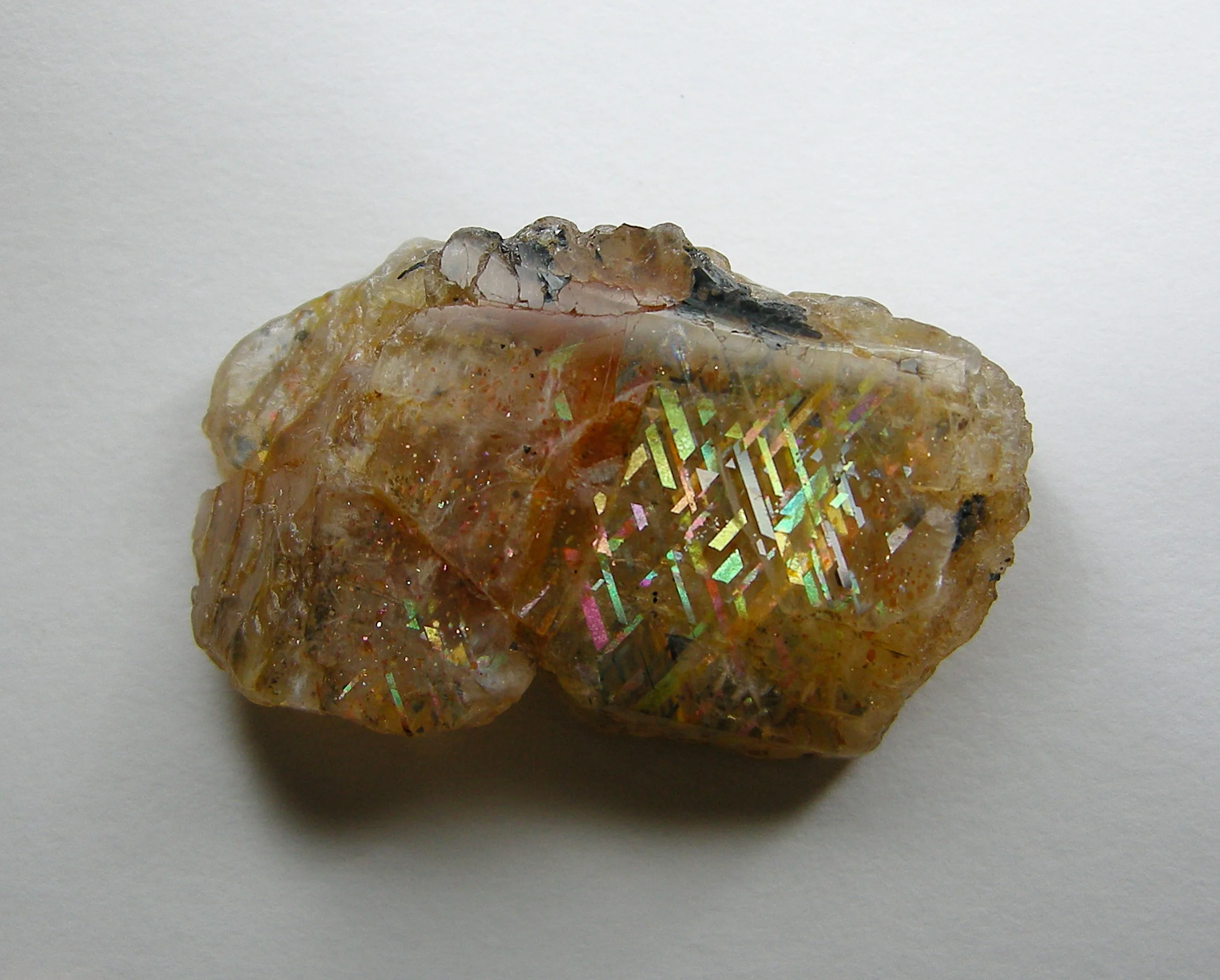 RL spec-5b front.JPG