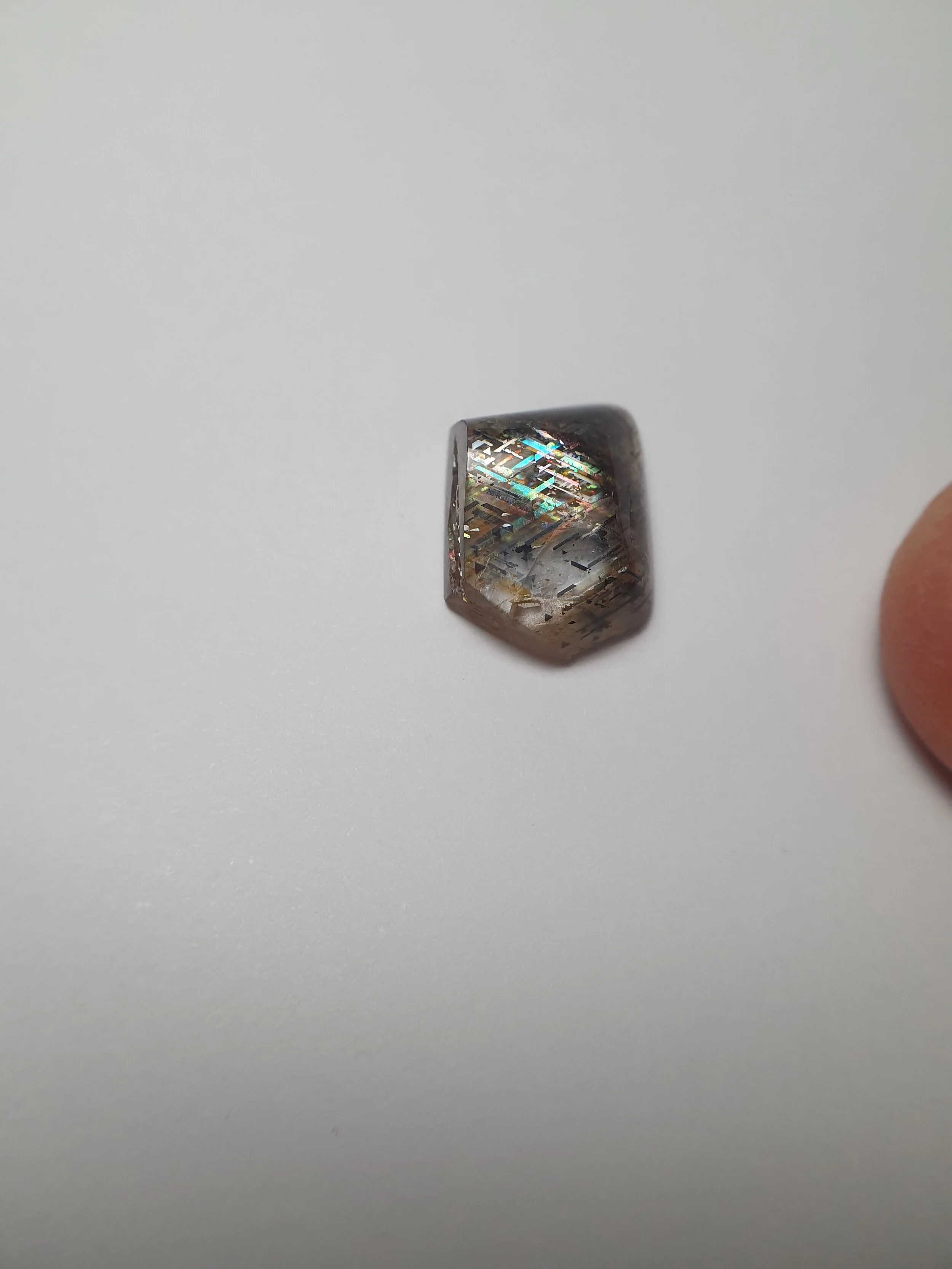 SP-69d.jpg