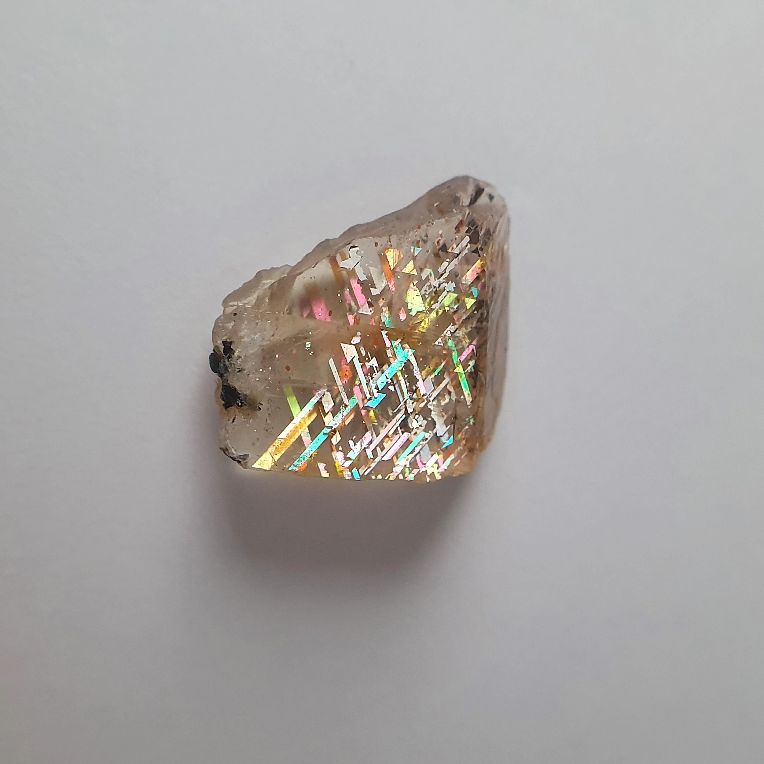 SP-83.jpg