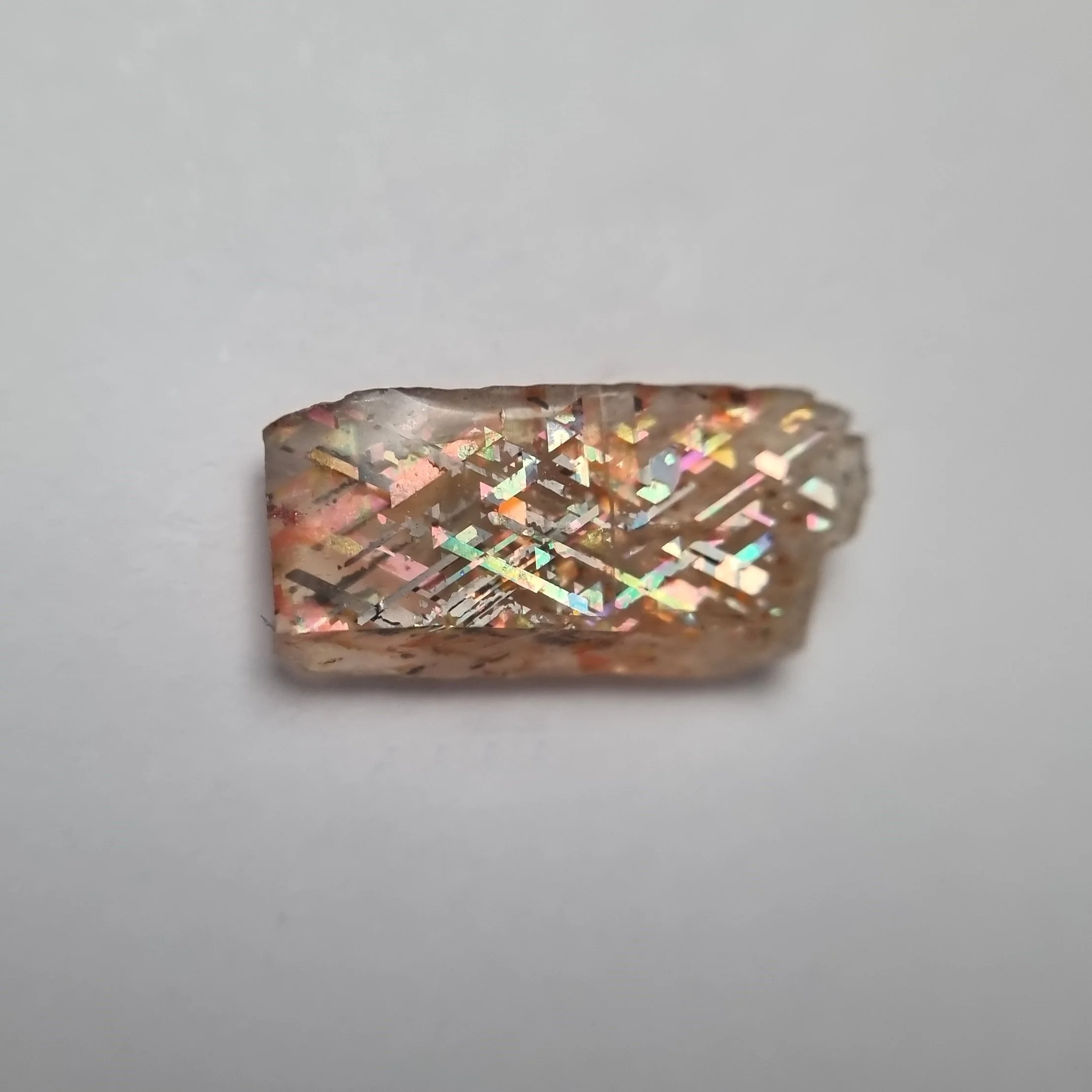 SP232-dt.jpg