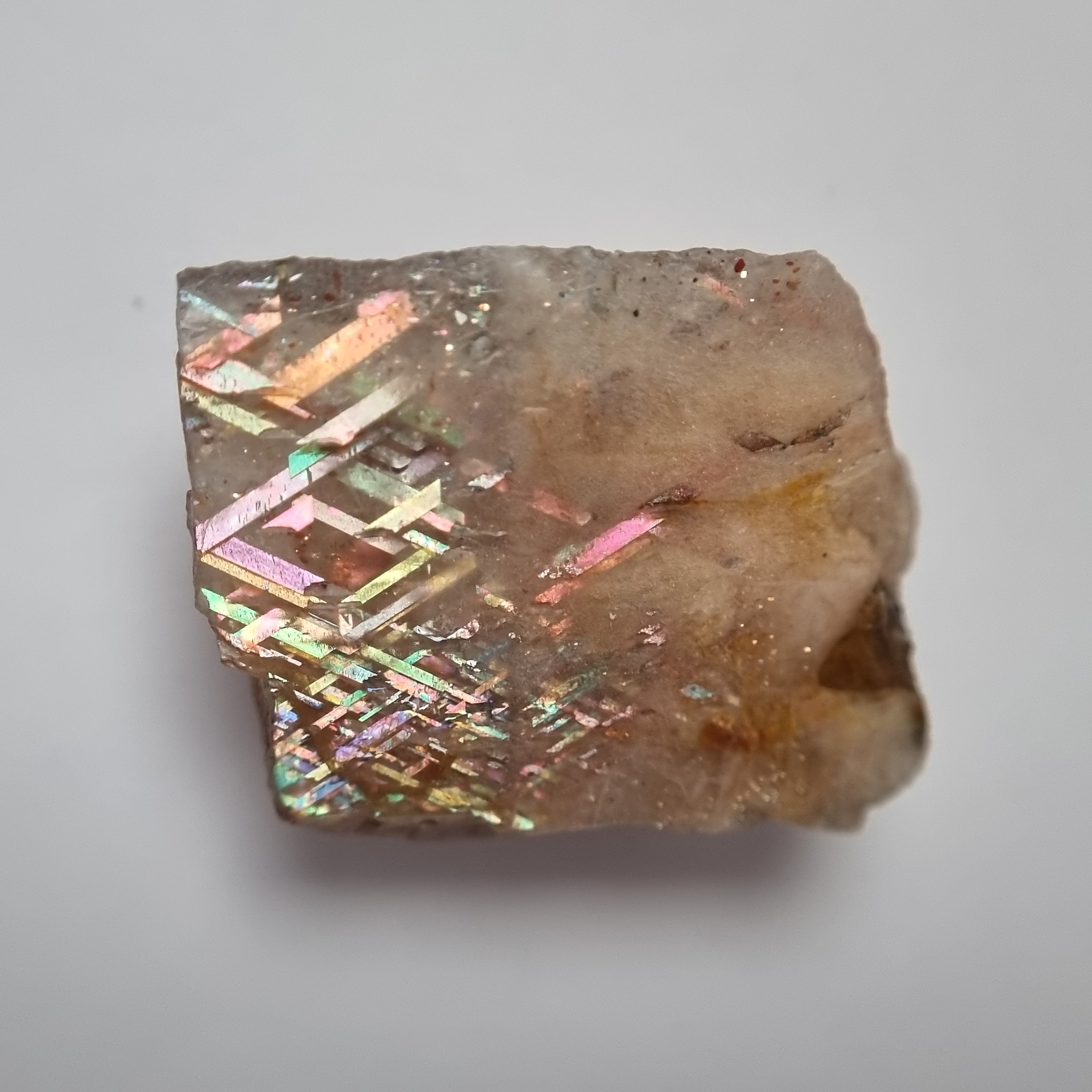 SP223-dt.jpg