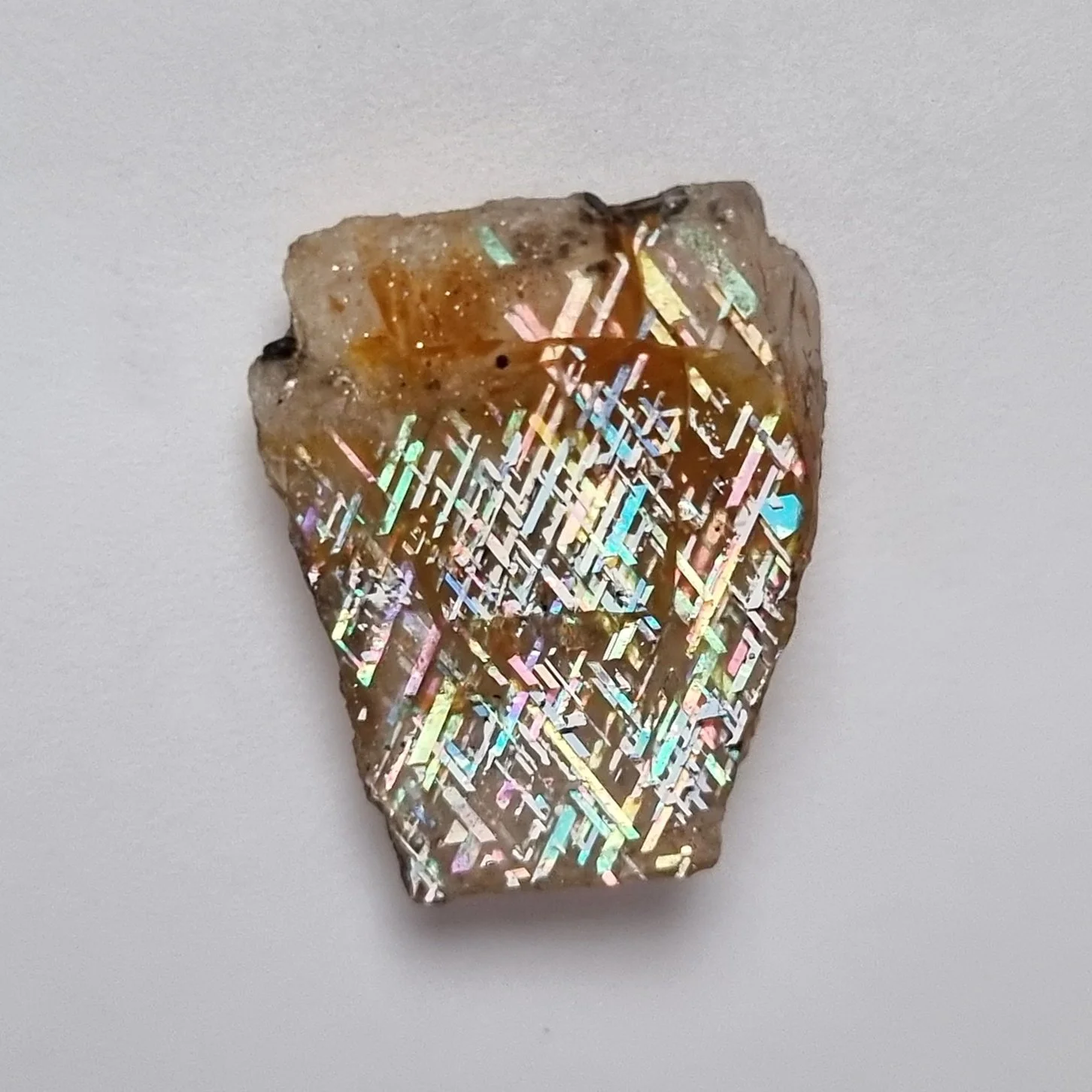 SP222-dt.jpg