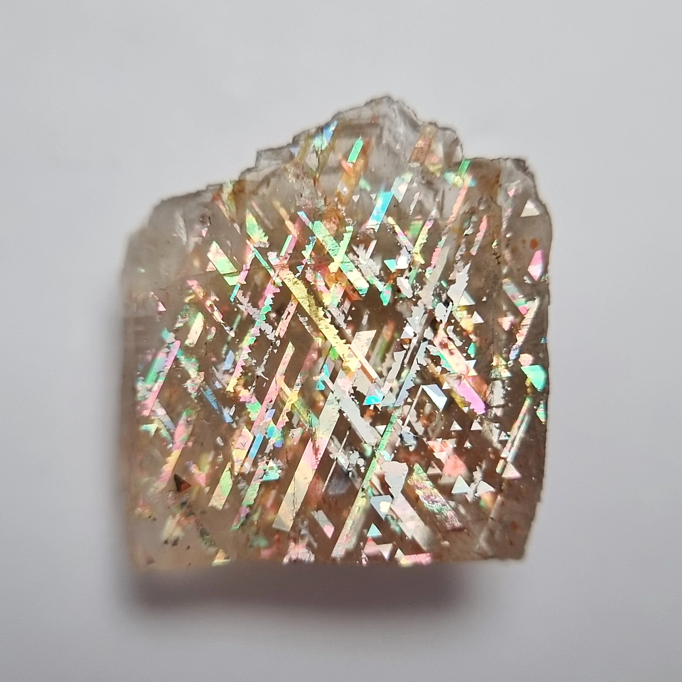 SP239-dt.jpg