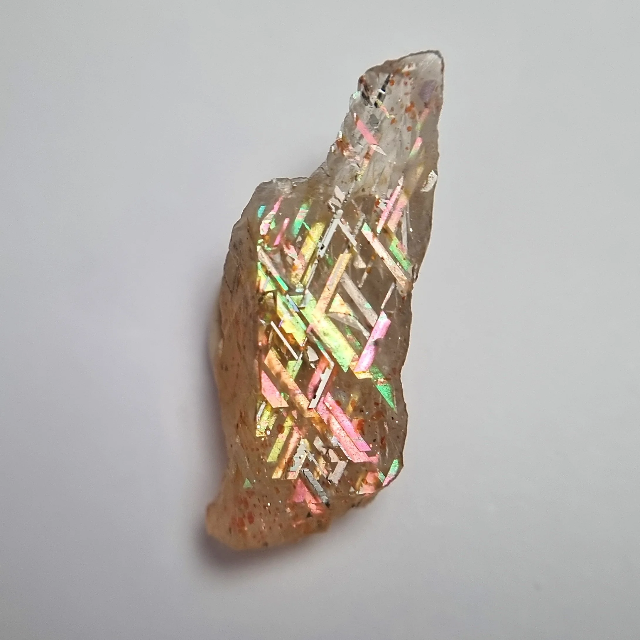 SP236b-dt.jpg