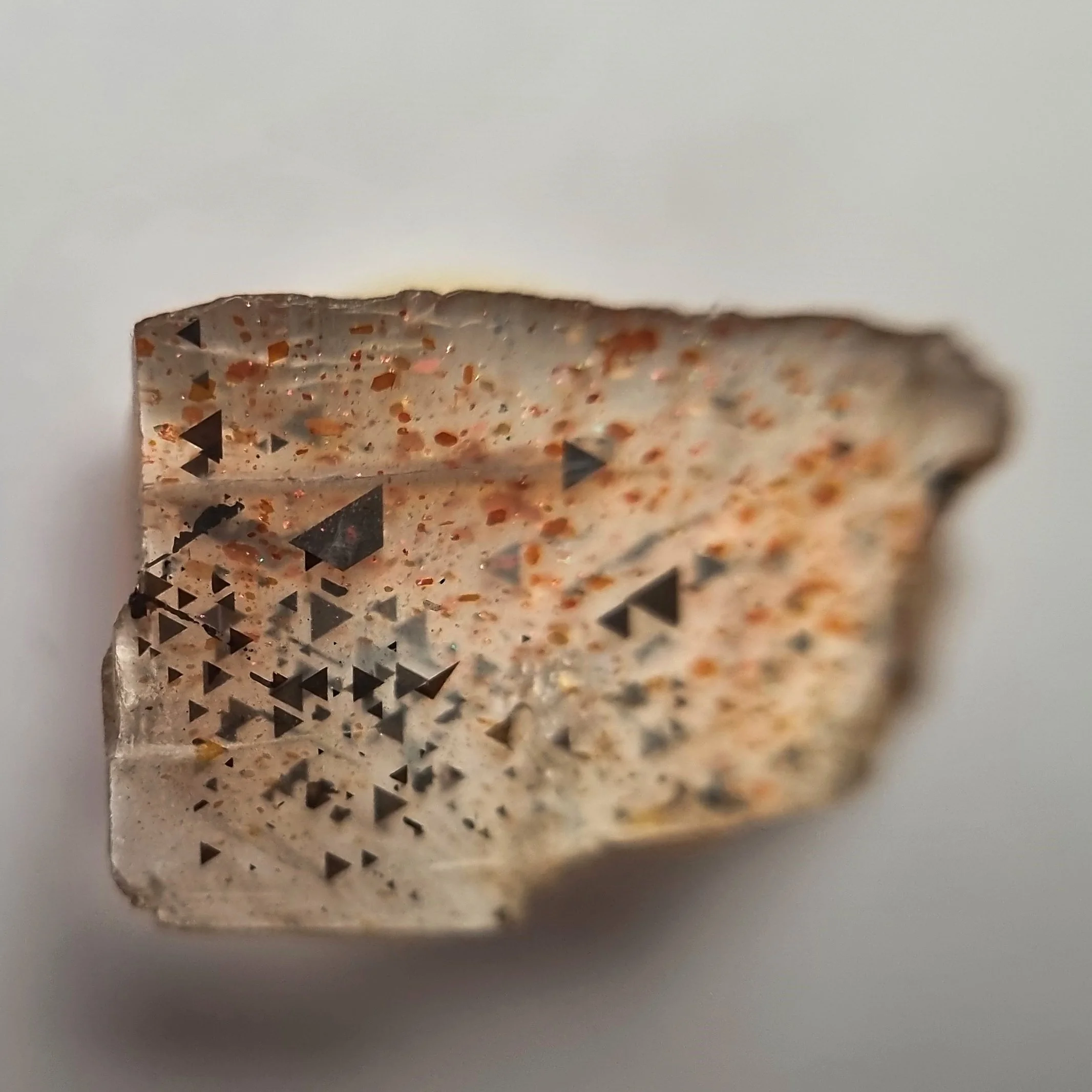 SP237c-dt.jpg