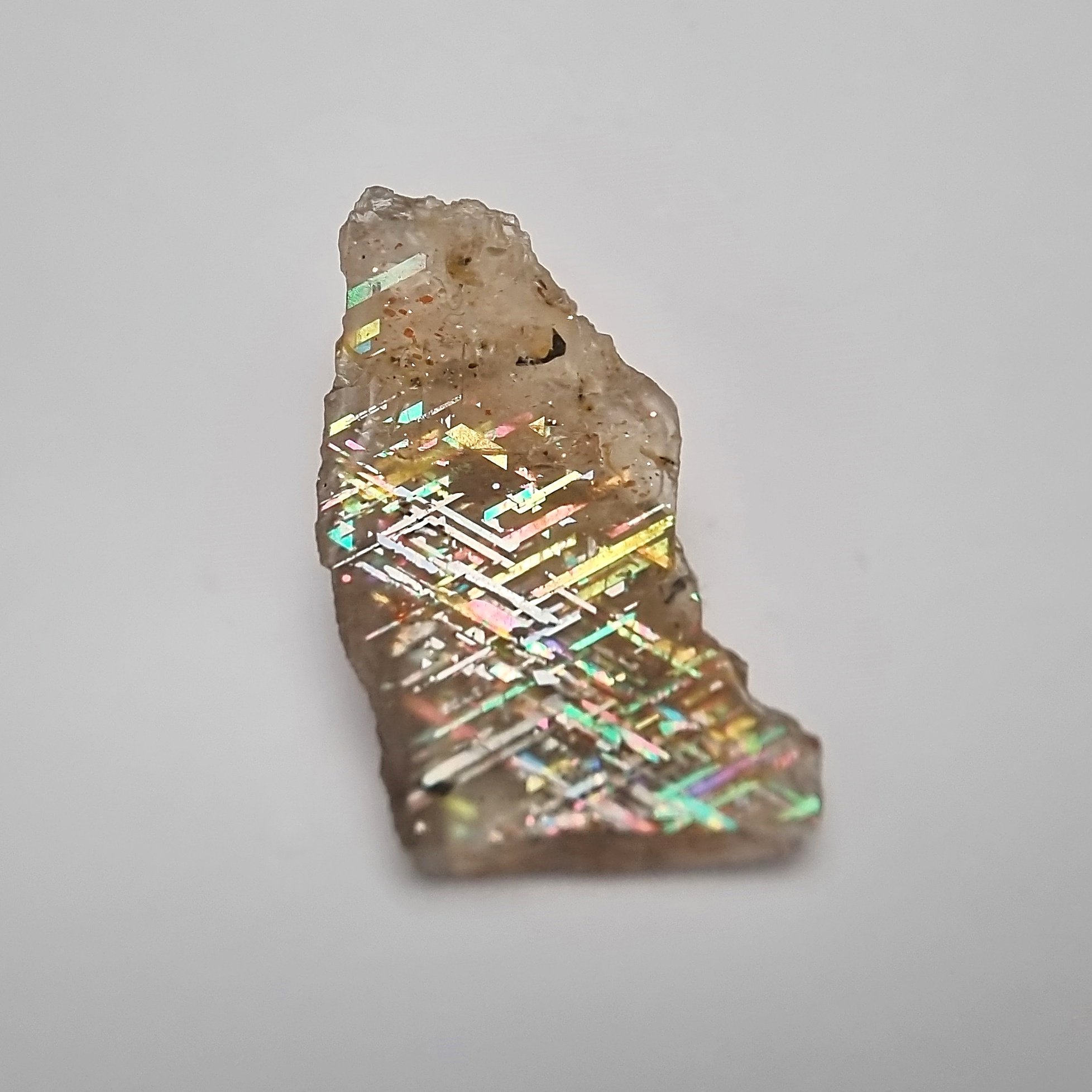 SP218-dt.jpg