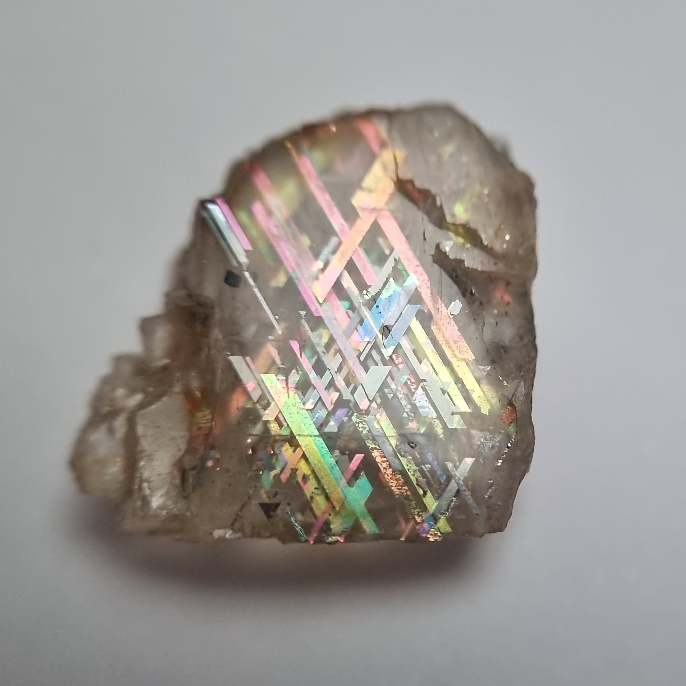 SP230-dt.jpg
