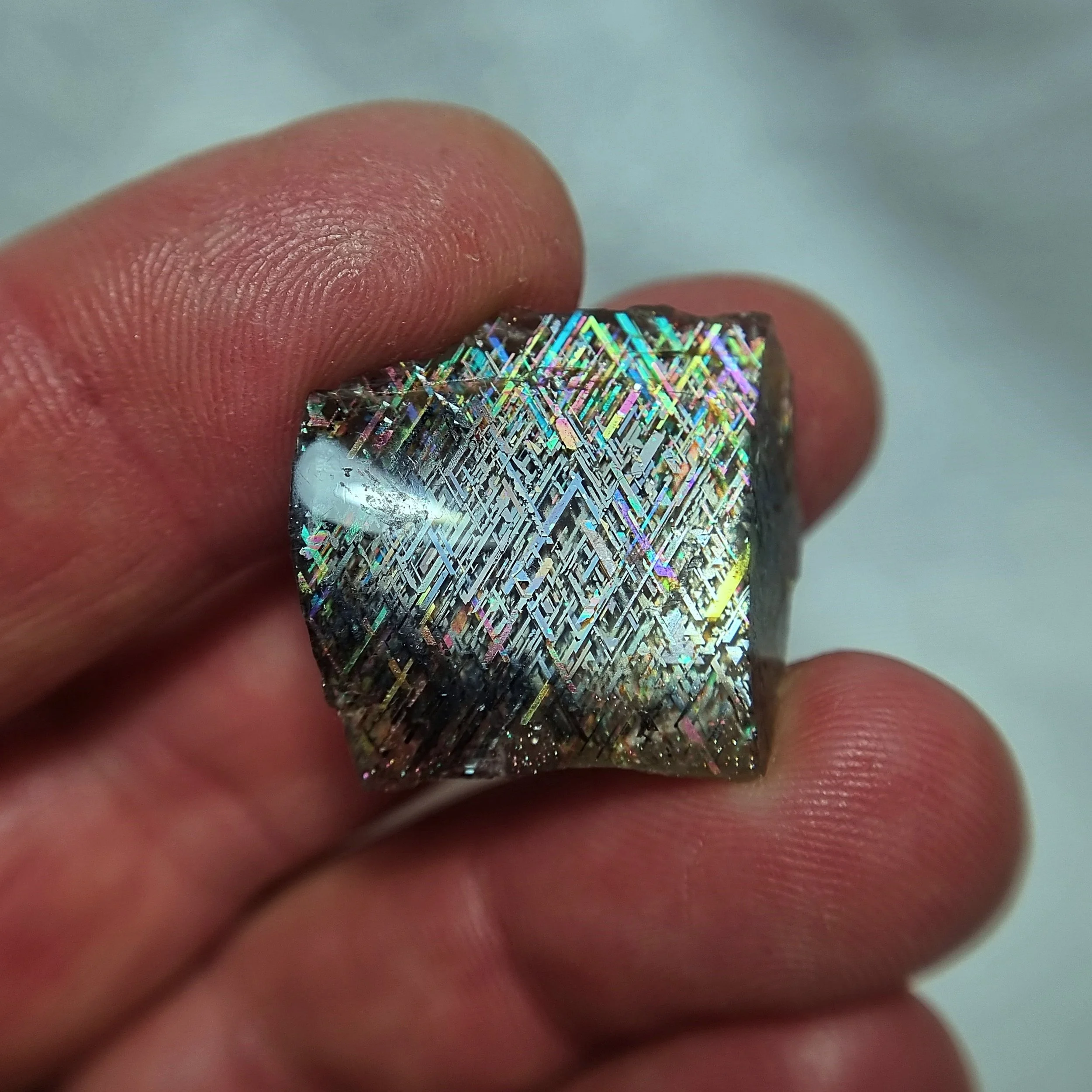 SP219c-dt.jpg