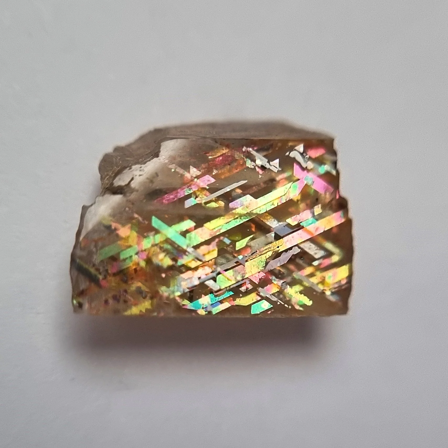 SP224-dt.jpg