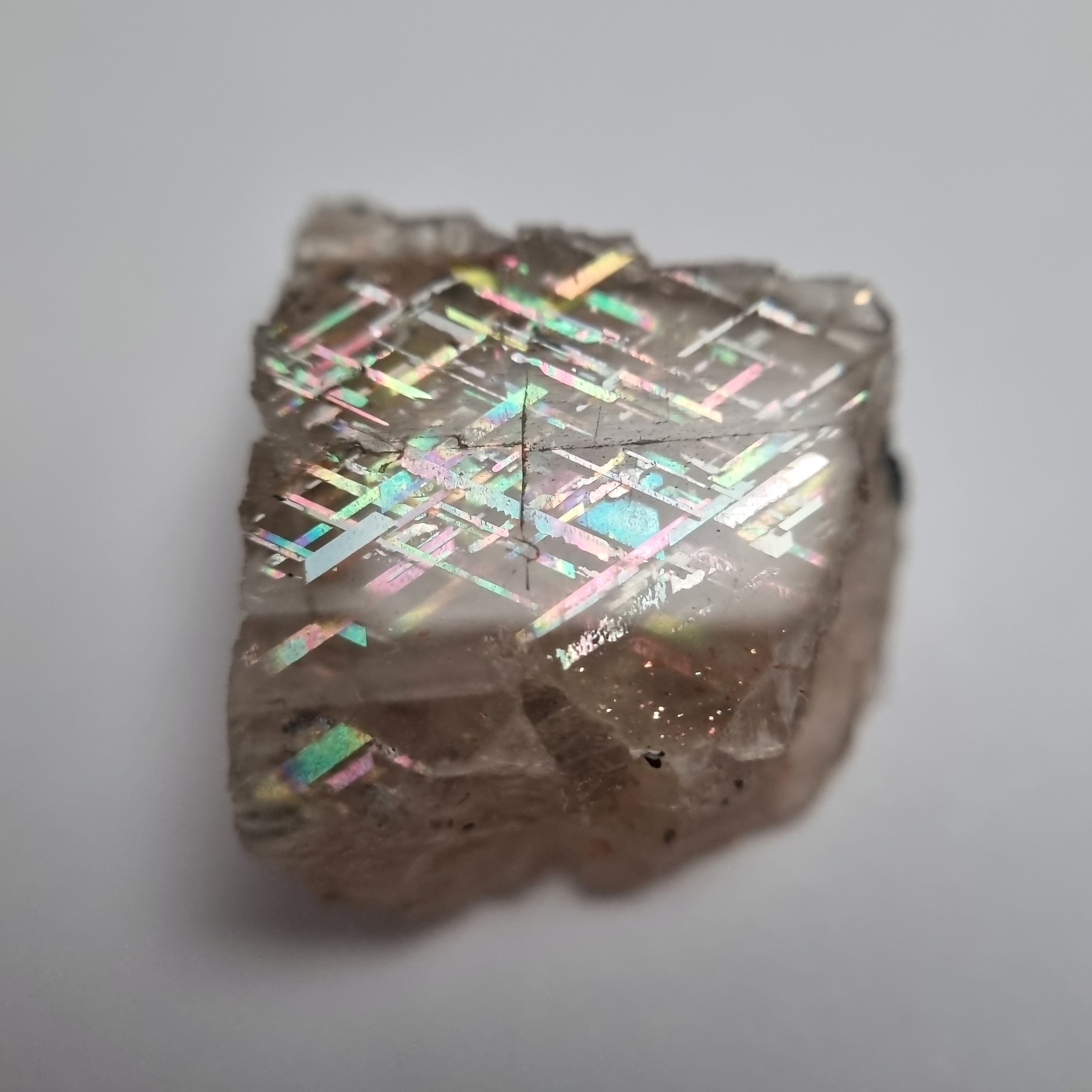 SP235-dt.jpg
