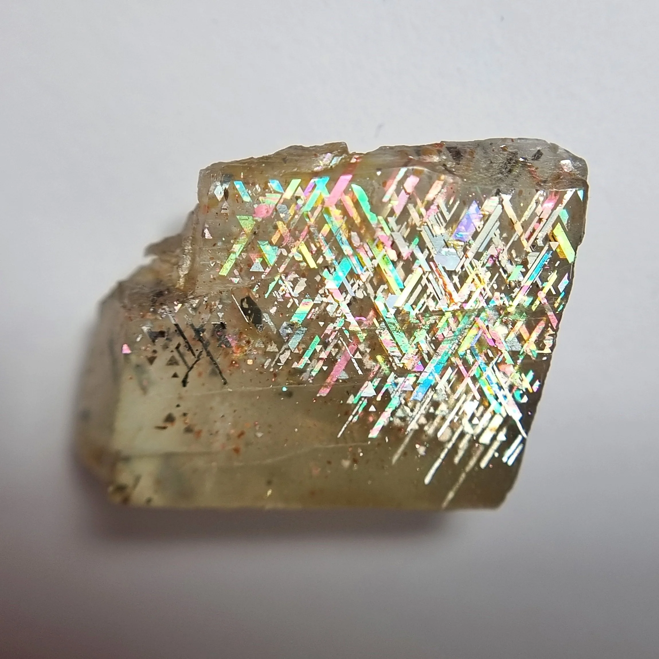 SP217-dt.jpg