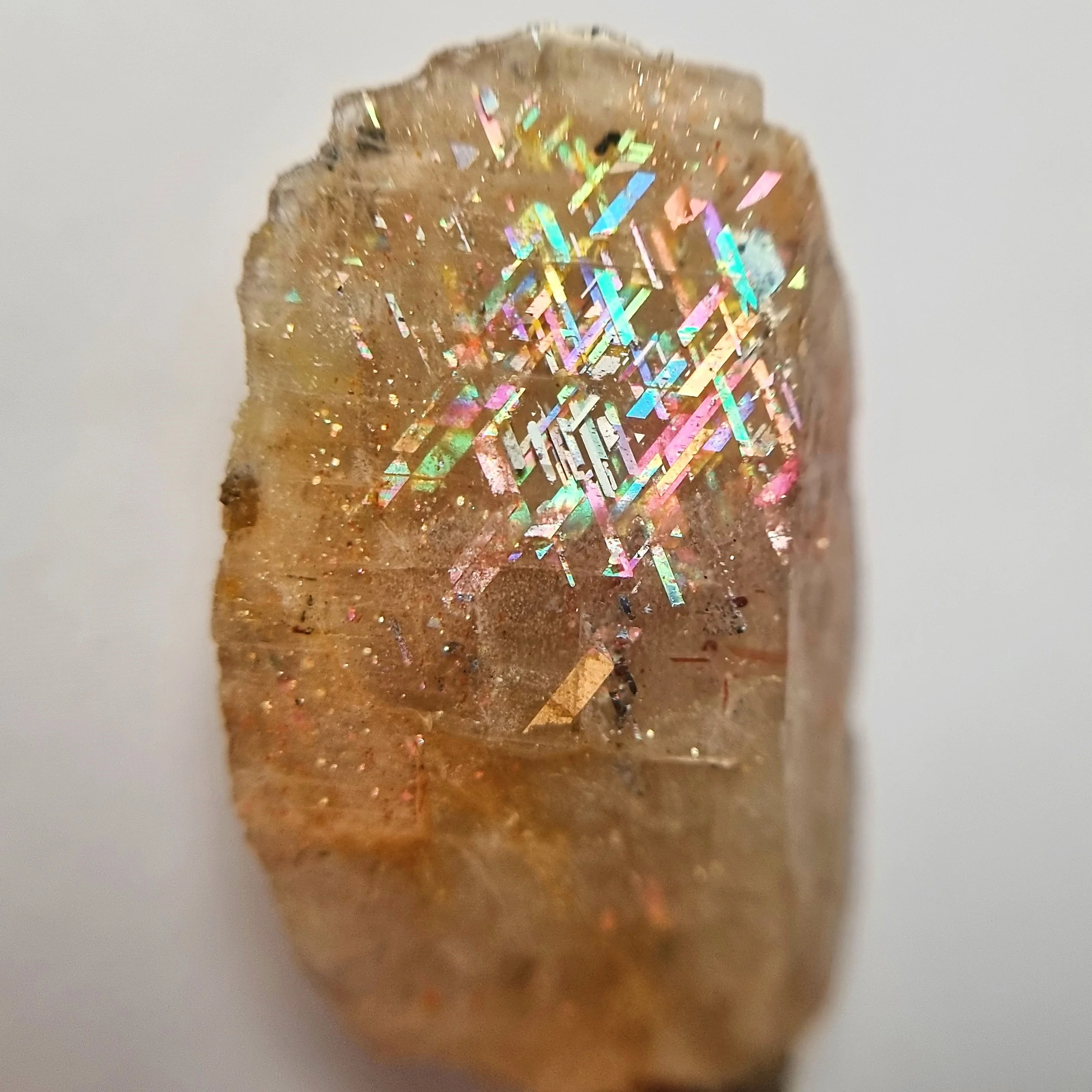 SP221-dt.jpg