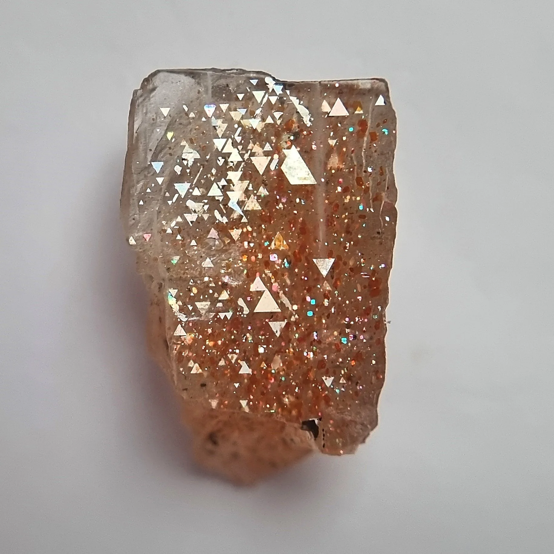 SP237a-dt.jpg