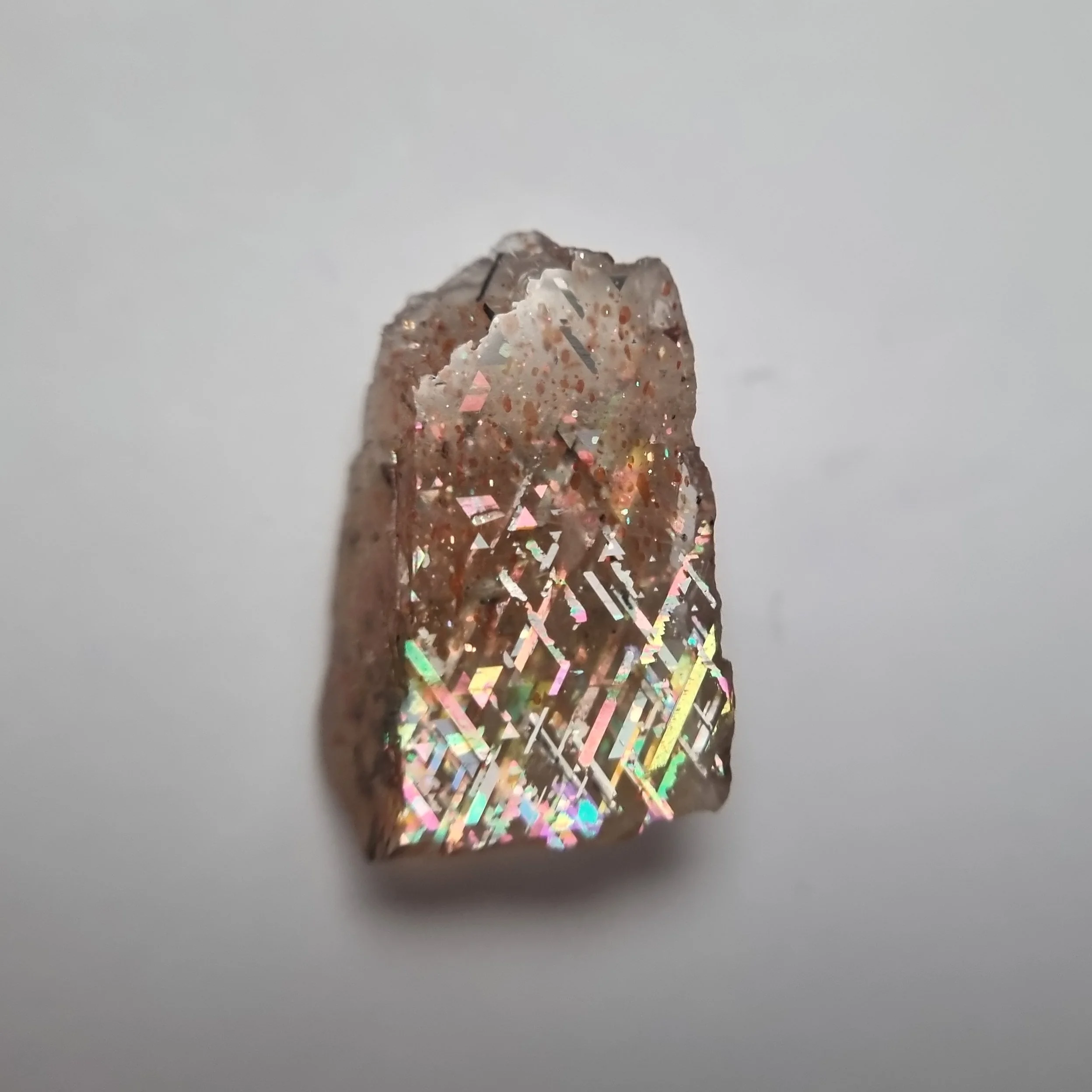 SP234-dt.jpg