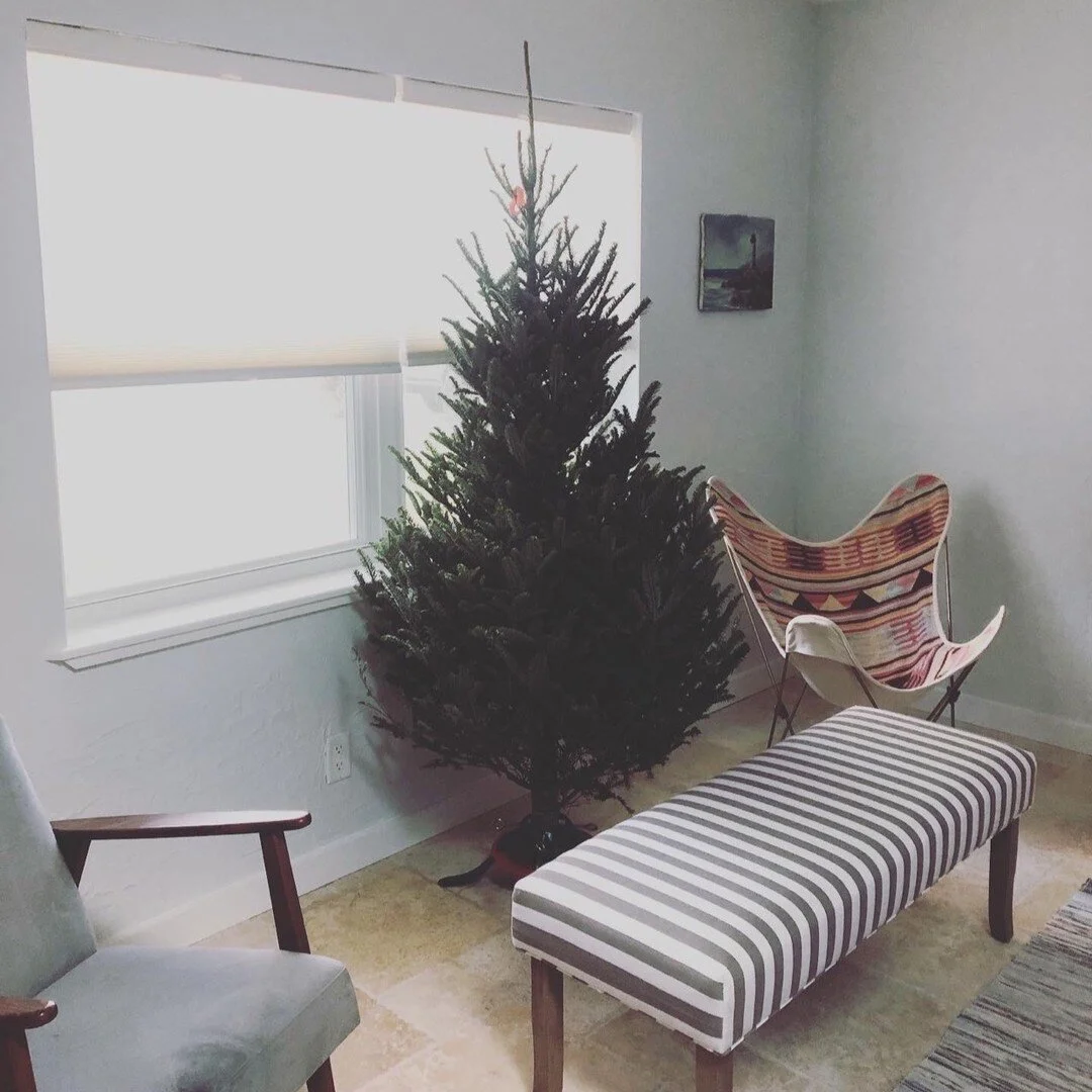 christmas in saint augustine.
#midcentury house. 
#saintaugustine #christmastrees #candlesconce