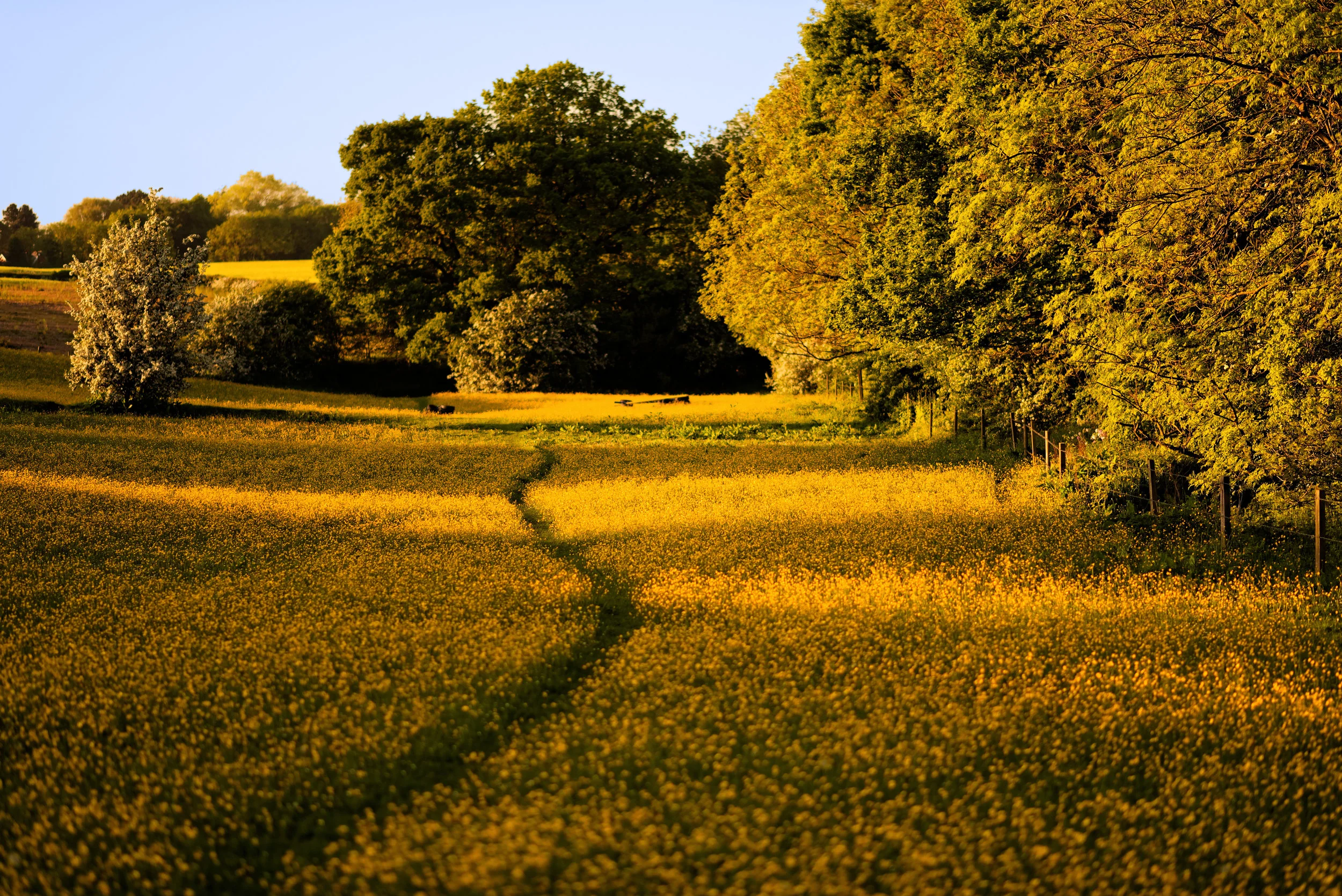 Path to Washingwell RBruce.jpg