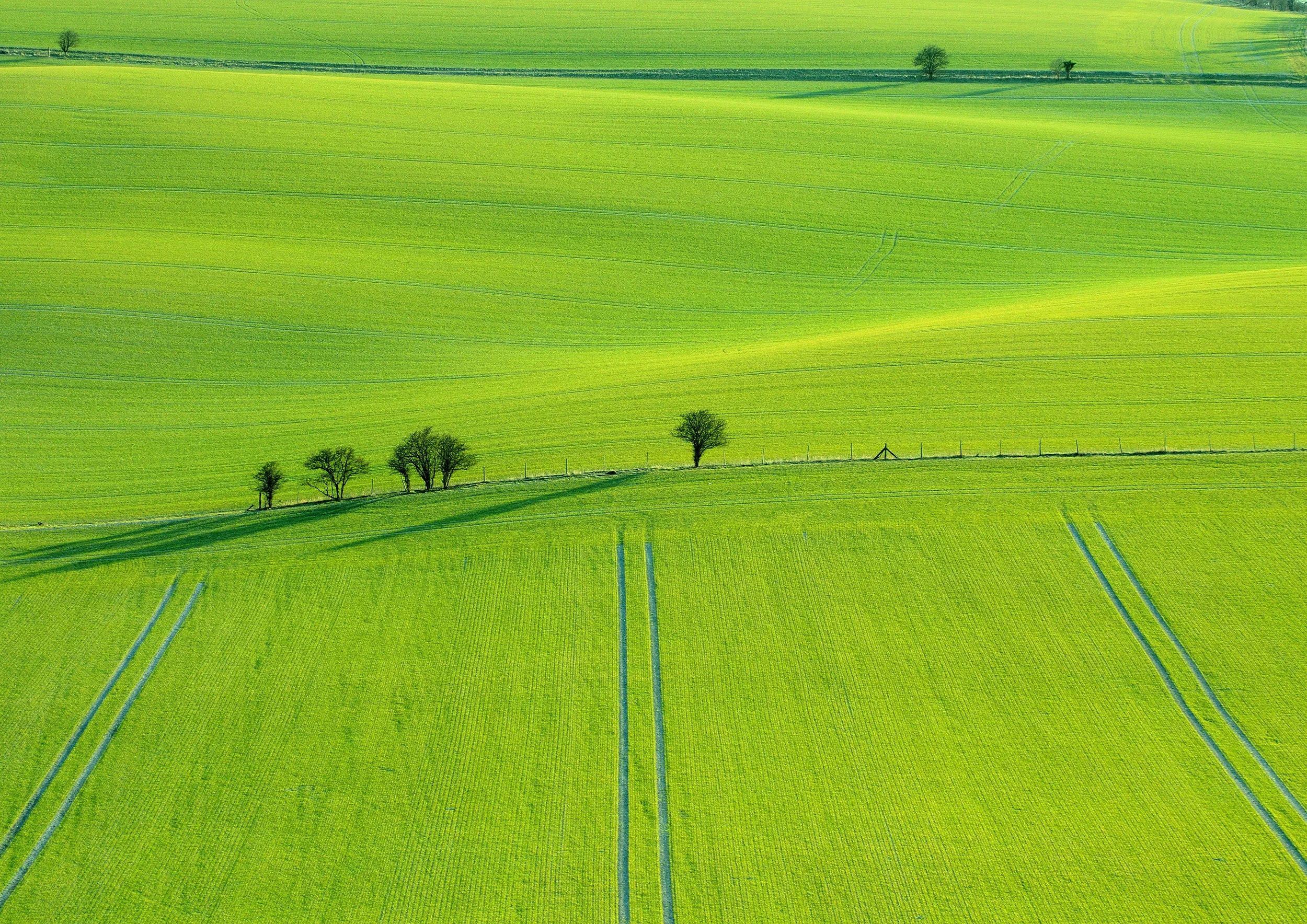 Return of the Spring RBruce.JPG