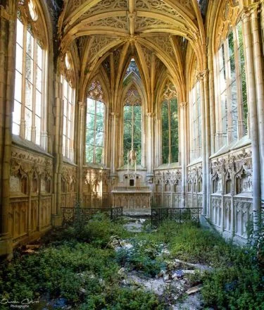 ABANDONED.[P].LACES
