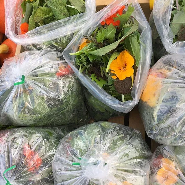 Biodegradable bags!  How do they look? ♻️ 🍃