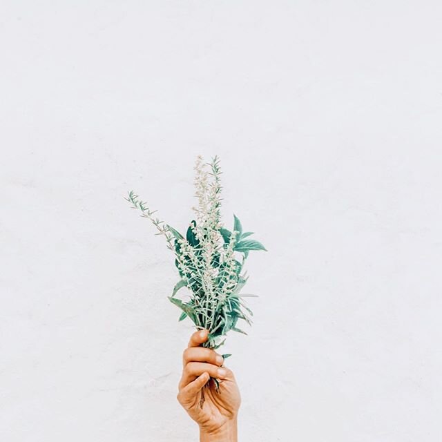 🌾 Deep Replenishment 🌾 The most selfless thing you can do is fill up your own engine. When we are running around half-filled, we find ourselves craving things from the external world to fill us.
⠀⠀
When really we just need to ground and nuture ours