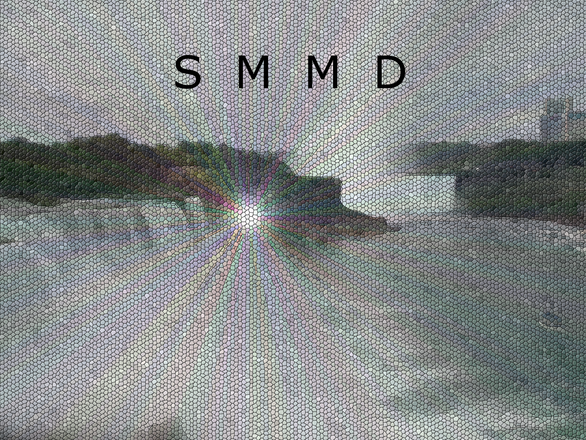 SMMD.png