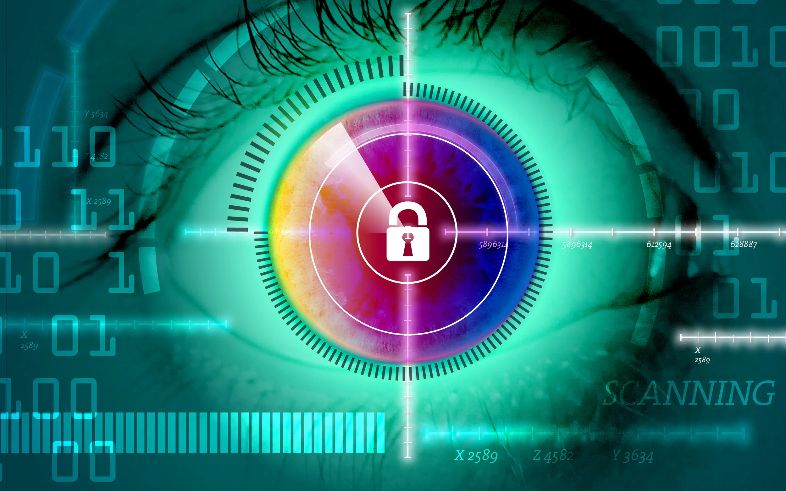 iStock-900405080.jpg