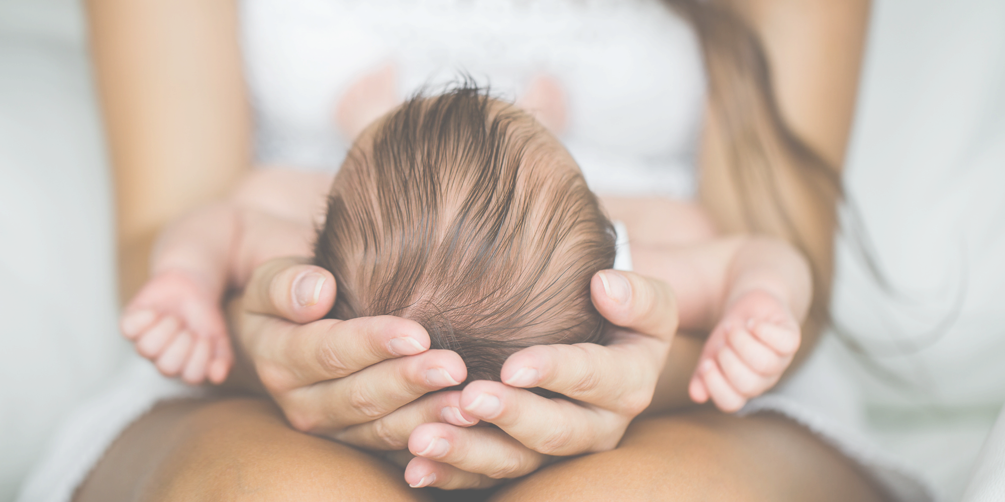 Copy of 7.0 Rose Banner Images(65).png