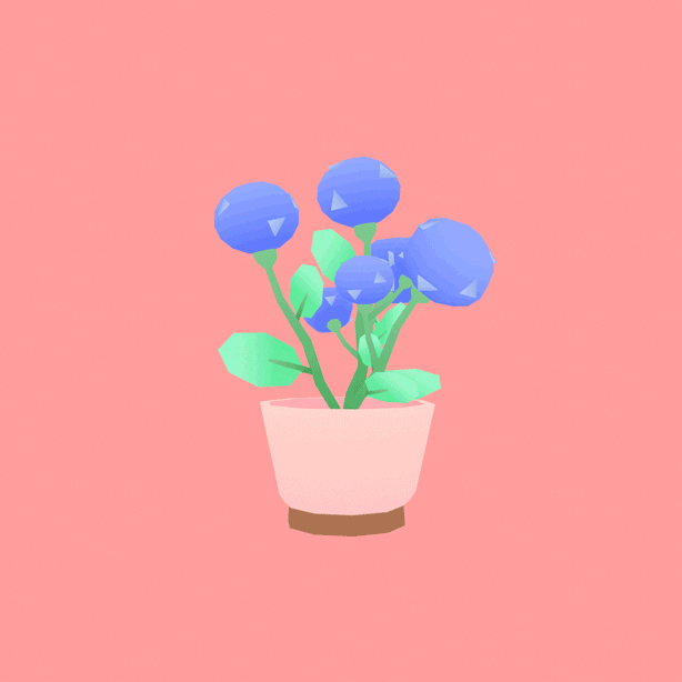 HydrangeaGIF.gif