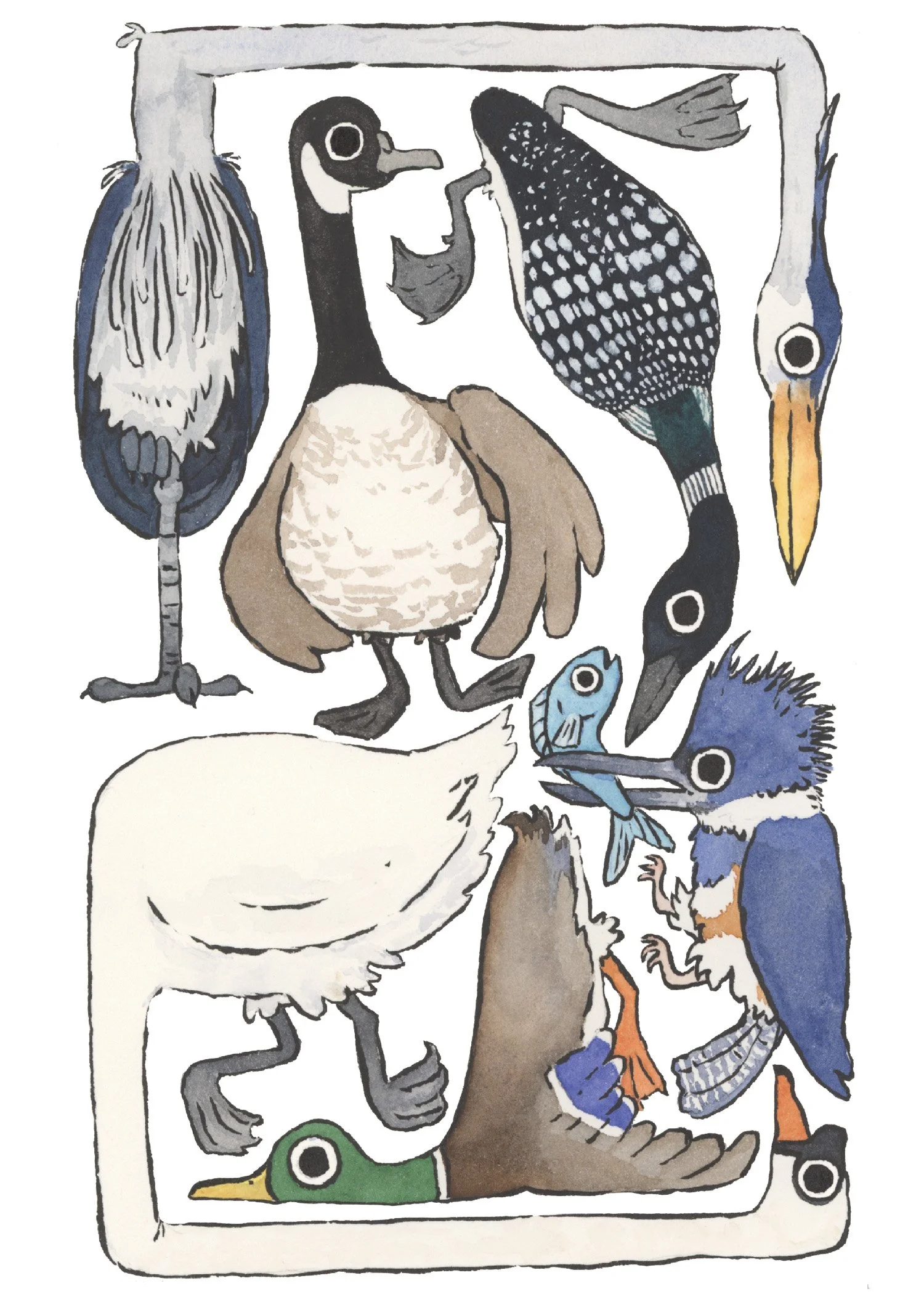 Cluster - Water Fowl.jpg