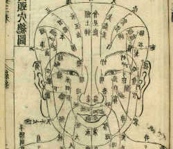 Acupuncture In Flagstaff Az Acupuncture In Flagstaff Az