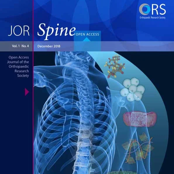 jsp2.2018.1.issue-4.cover.jpg