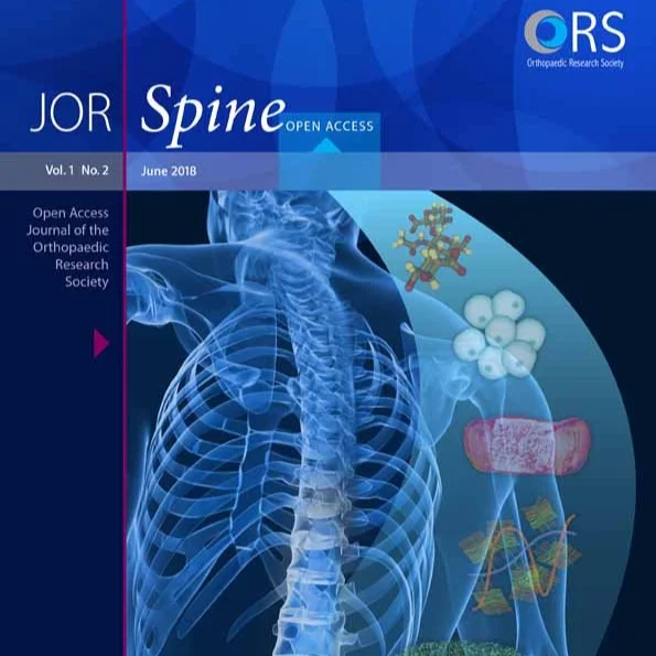 jsp2.2018.1.issue-2.cover.jpg