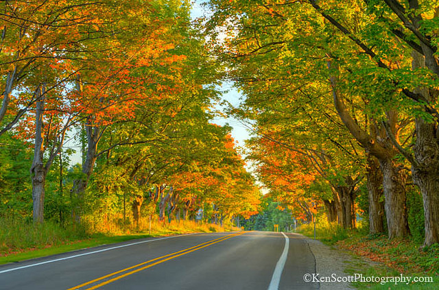 ken-scott-fall-colors.jpg