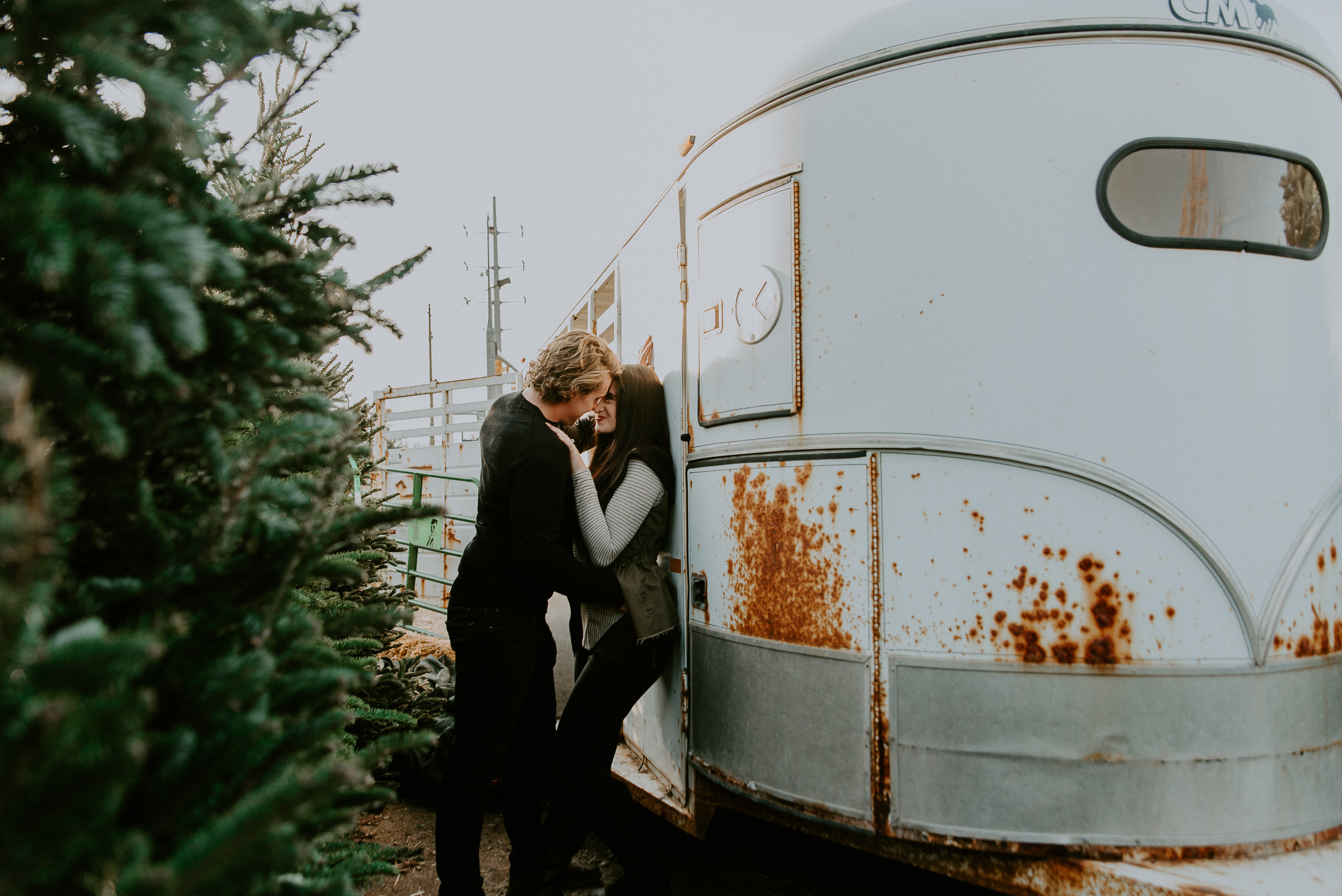 Tree Farm Engagements