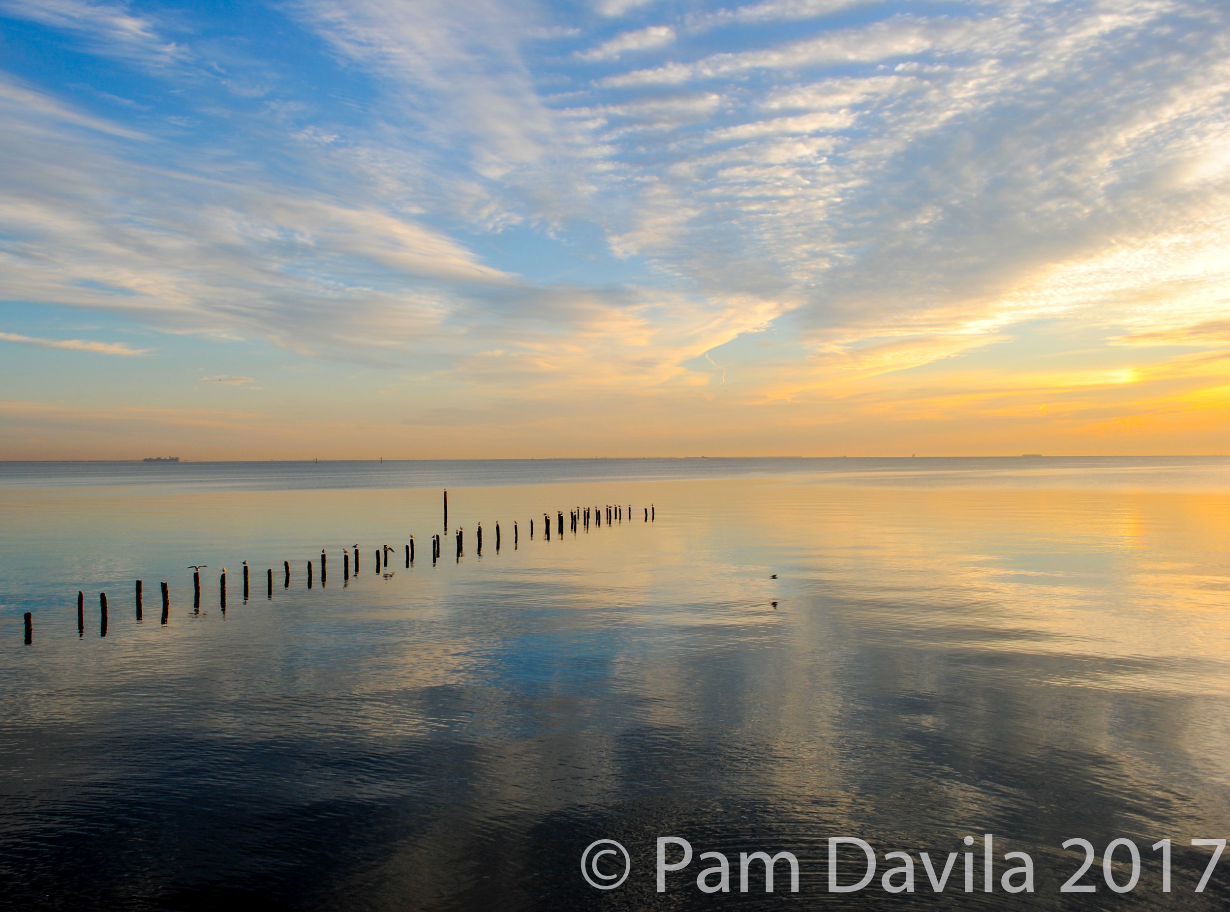 Birds at sunrise