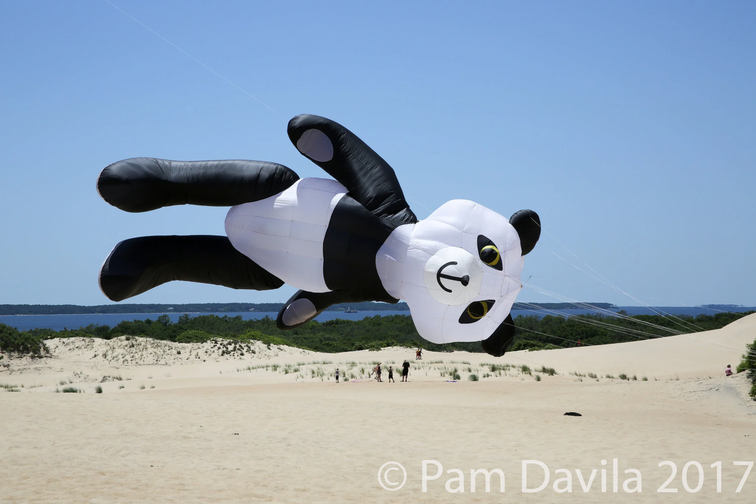 Panda kite